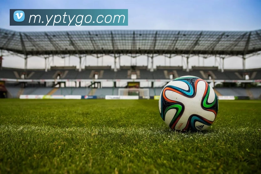 易倍体育APP 体育赛事宣传图